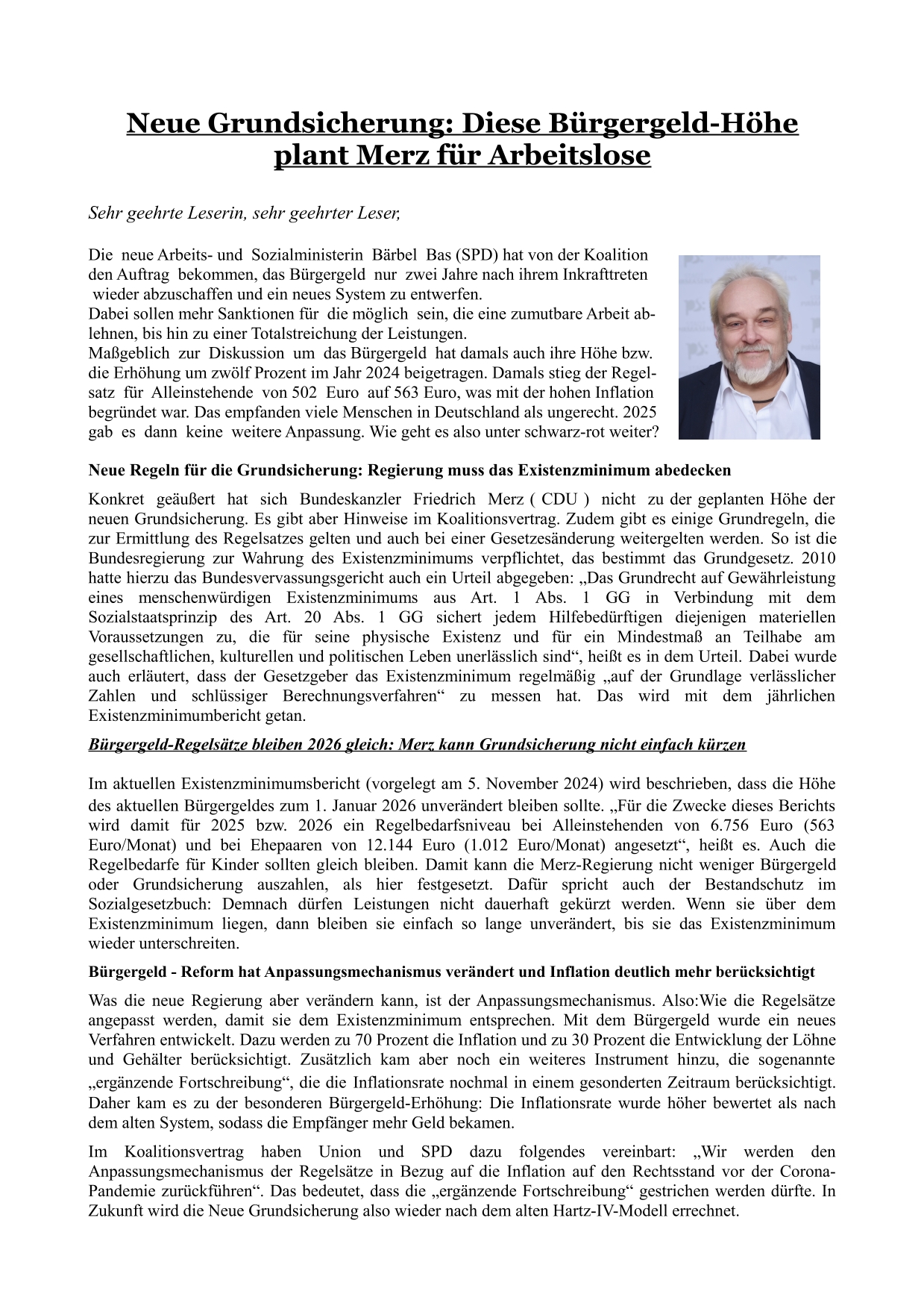 AfD Bürger 3…Neue Grundsicherung Diese Bürgergeld-Höhe-1